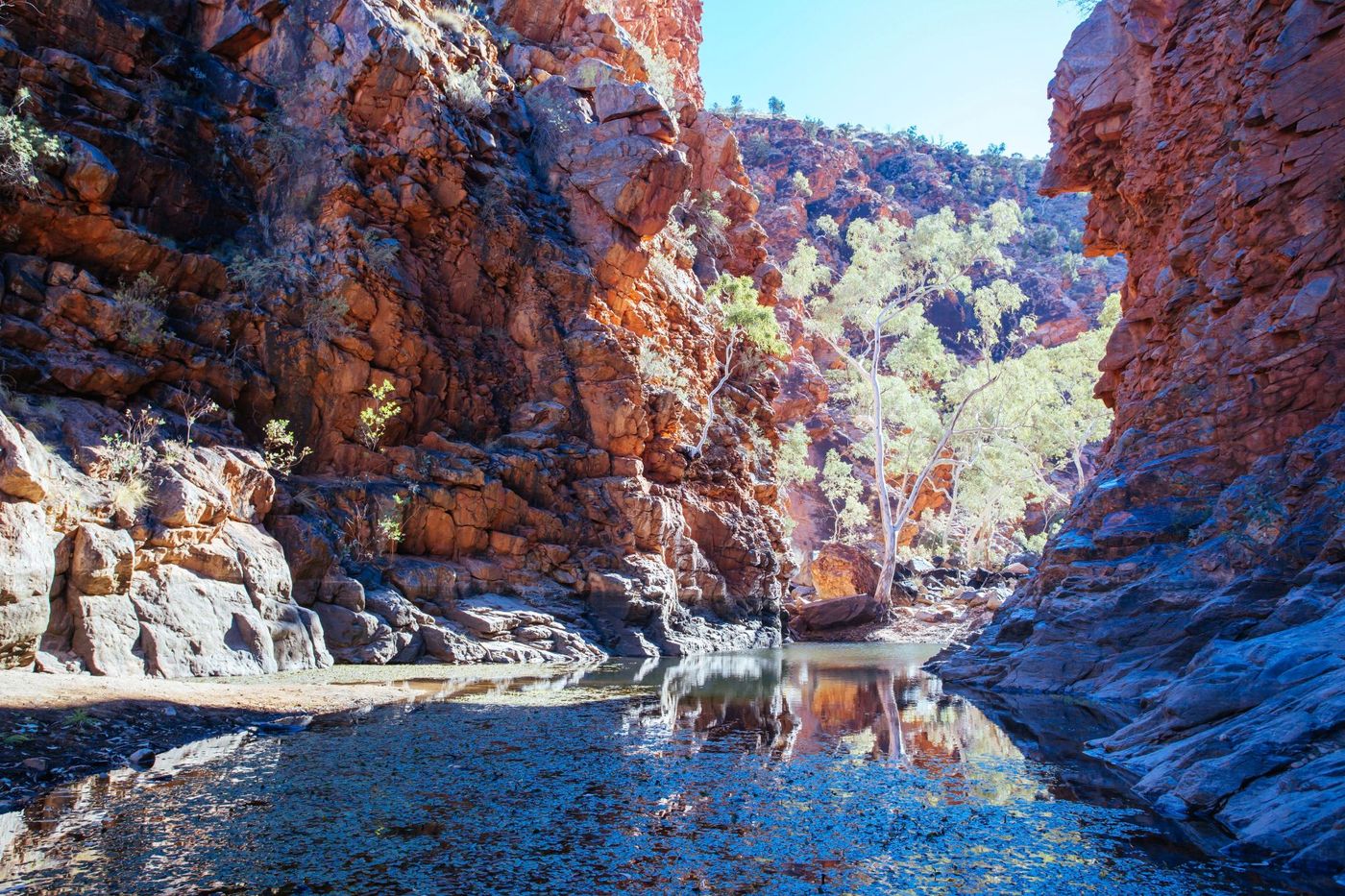 Serpentine Gorge in Larapinta.jpg